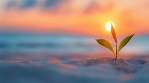 sunrise image